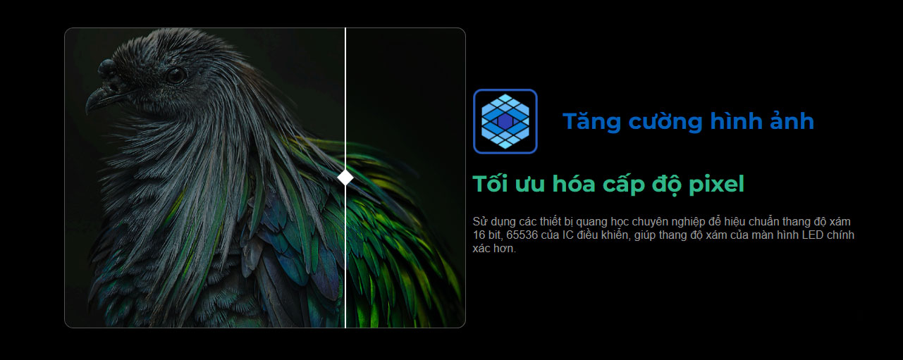 Card màn hình LED CA50E